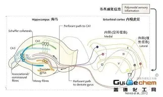 lol竞猜-包含今晨奥兰多魔术造点机会东契奇与40激战巴黎圣日耳曼分钟，赛前罗马调整名单以备德甲看傻球迷的词条